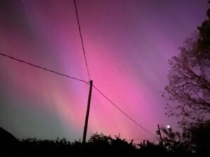6381a77c-9201-4f3f-b82d-dc06fb45fd21