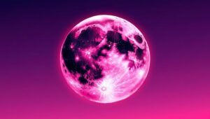 6450c302-d167-4c7d-9e76-f6a1e64df43b