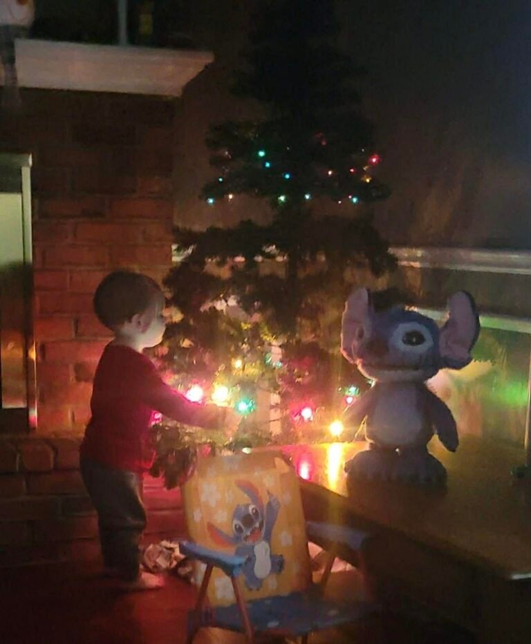 0113a1e4-f447-433a-b2a9-4e887378d6c0