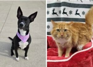 2edba9bc-1702-426d-90d5-398beb3f4e37