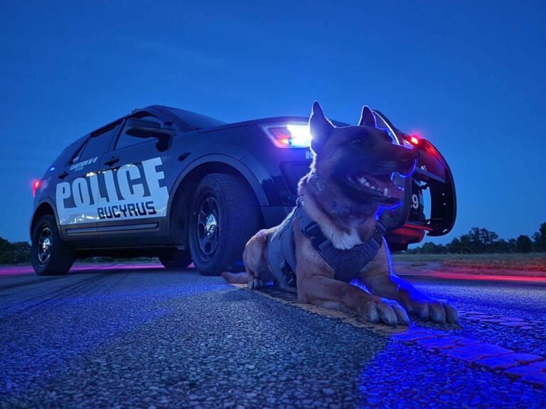 12f6efff-1913-4202-9ef9-8976a32fe67f