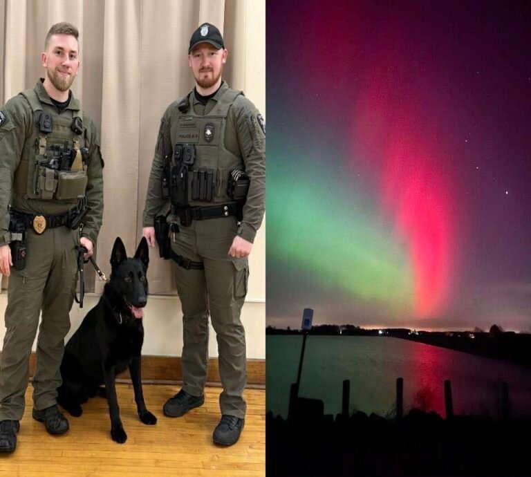 7559493b-f6e0-4f81-8dae-884d8796ed93