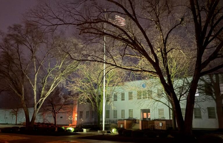 99410dda-0b6f-4ea4-b316-3aa6a33fde14