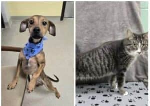 c93f3b35-7901-47fc-b152-b416e8176b8a