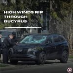 a09436c4-a245-4288-bcd8-4d8e345a85a7