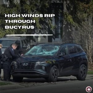 a09436c4-a245-4288-bcd8-4d8e345a85a7