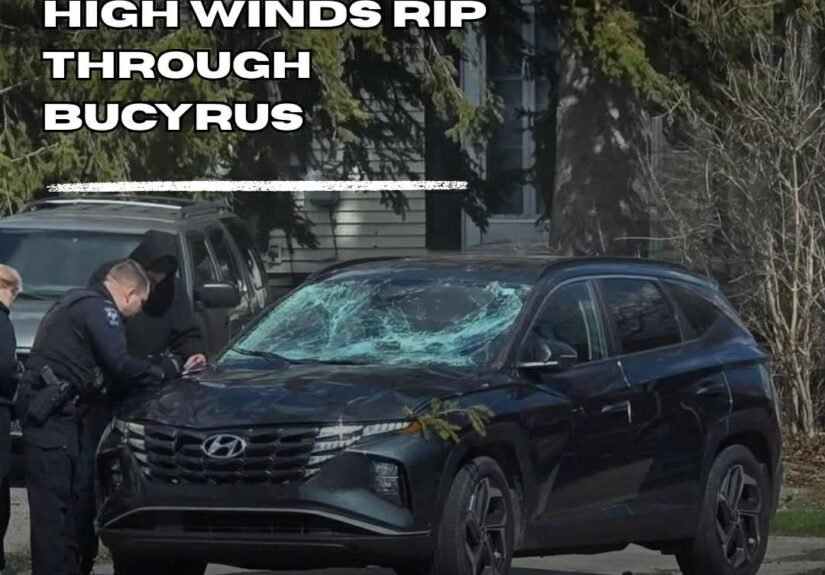 a09436c4-a245-4288-bcd8-4d8e345a85a7