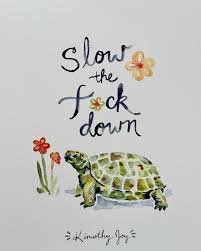 TheArtofGoingSlowFreeWireMagazine