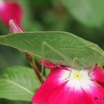 images (6)
