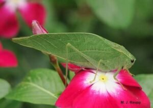 images (6)
